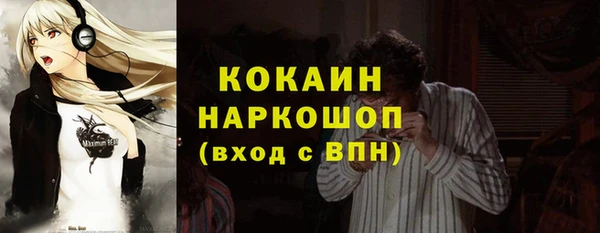 индика Армянск