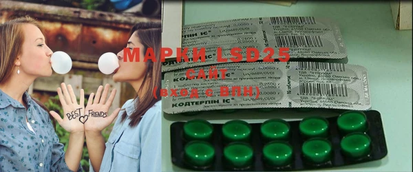 индика Армянск