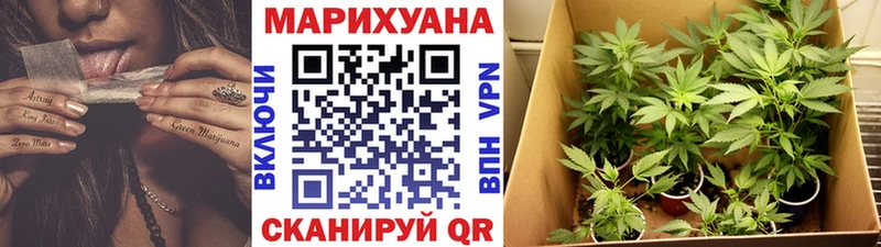 где купить наркоту Теберда Бошки Шишки VHQ